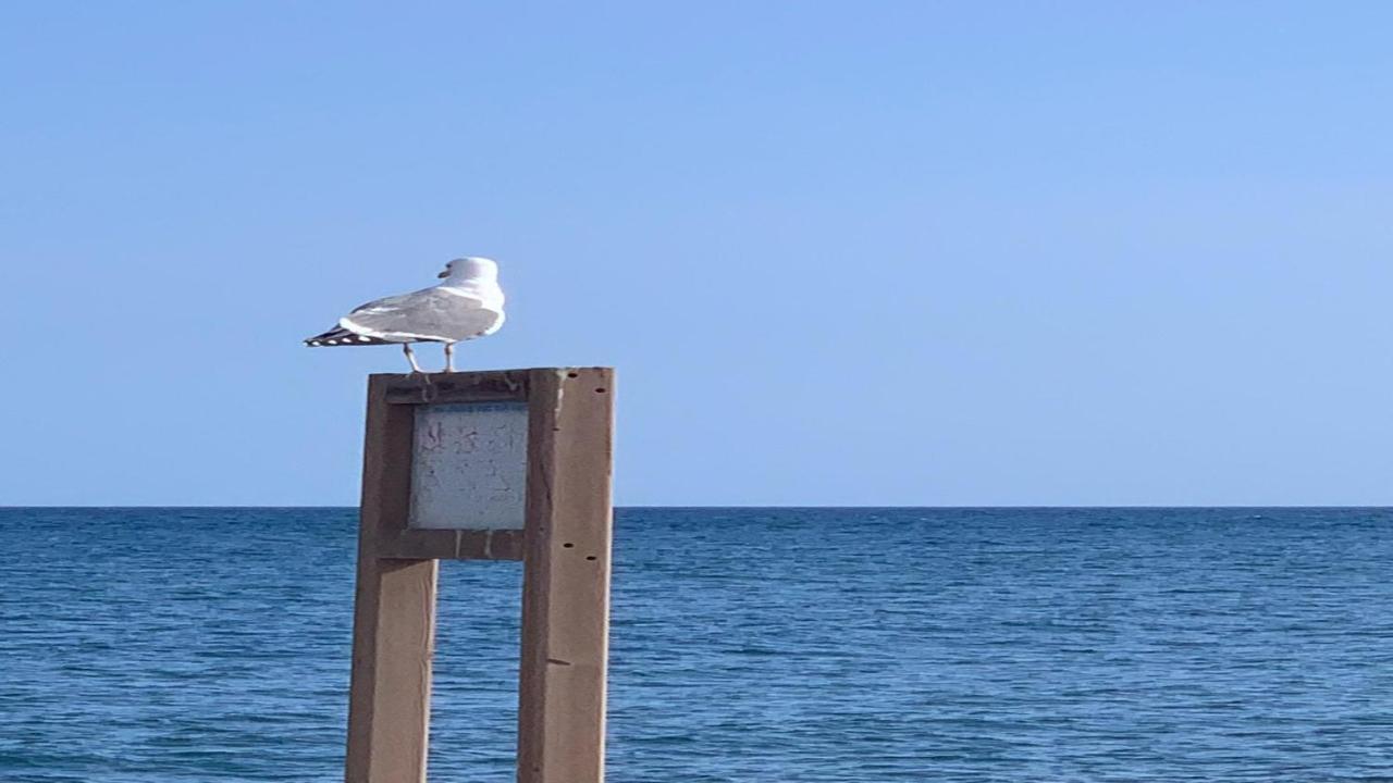 Welooveyou Aqua Lajita Zewnętrze zdjęcie